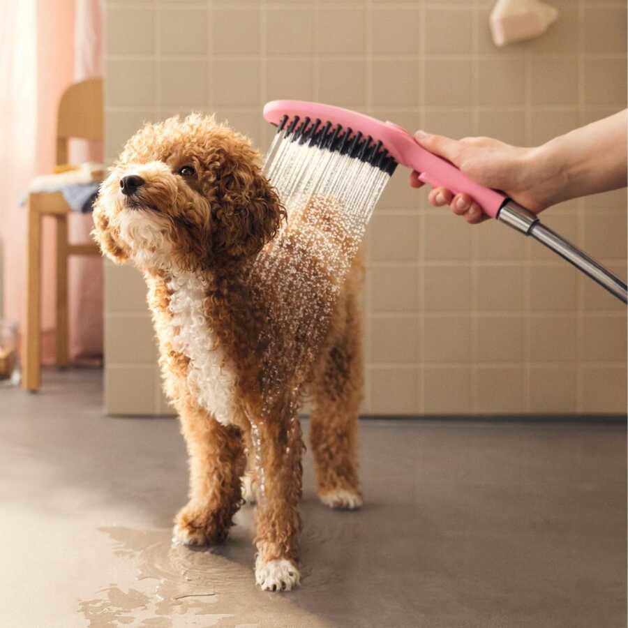 Hansgrohe Dogshower Köpekler için El Duşu 3 Akışlı- Pembe 26640560