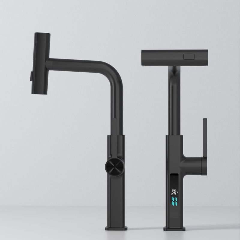 The Sink 3 Fonksiyonlu Siyah Led Ekran Eviye Bataryası